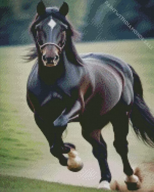 Running Black Horse Diamond Painting