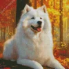 Samoyed Dog Diamond Painting