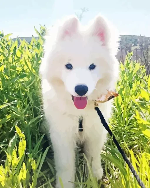 Samoyed Dog In A Sunny Day Diamond Painting