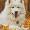 Samoyed Dog In Autumn Leaves Diamond Painting