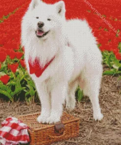 Samoyed Dog In Flowers Field Diamond Painting