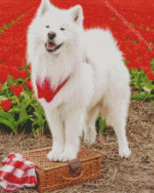 Samoyed Dog In Flowers Field Diamond Painting