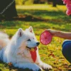 Samoyed Dog With A Dreamcatcher Diamond Painting