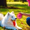 Samoyed Dog With A Dreamcatcher Diamond Painting