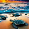 Sea Turtles Beach Babies Diamond Painting