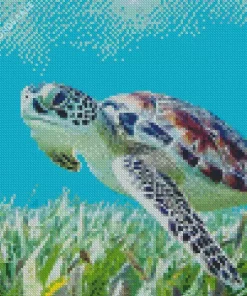 Sea Turtle Art Diamond Painting