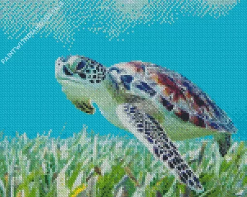 Sea Turtle Art Diamond Painting