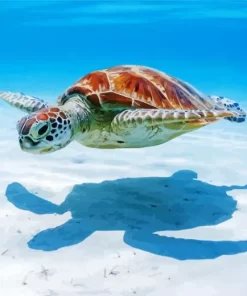 Sea Turtle In Blue Sea Diamond Painting