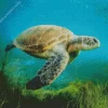 Sea Turtle In Ocean Diamond Painting