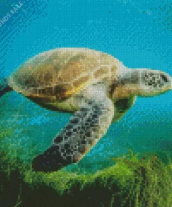 Sea Turtle In Ocean Diamond Painting