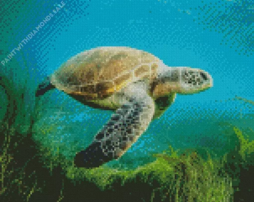 Sea Turtle In Ocean Diamond Painting