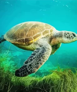 Sea Turtle In Ocean Diamond Painting