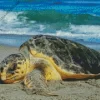 Sea Turtle On Sand Diamond Painting