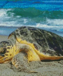 Sea Turtle On Sand Diamond Painting