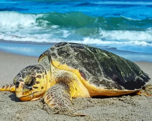 Sea Turtle On Sand Diamond Painting