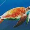 Sea Turtle Reptile Diamond Painting