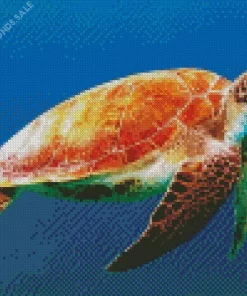 Sea Turtle Reptile Diamond Painting