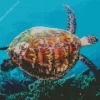 Sea Turtle Swimming Diamond Painting