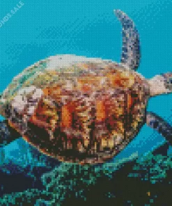 Sea Turtle Swimming Diamond Painting