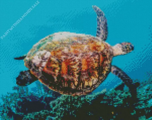 Sea Turtle Swimming Diamond Painting