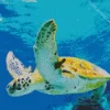 Sea Turtle Under Water Diamond Painting