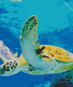 Sea Turtle Under Water Diamond Painting