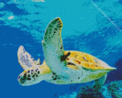 Sea Turtle Under Water Diamond Painting