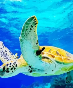 Sea Turtle Under Water Diamond Painting