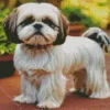 Shih Tzu With Brown Ears Diamond Painting