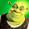 Shrek Diamond Painting