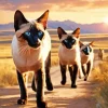 Siamese Cats Diamond Painting