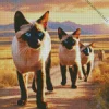 Siamese Cats Diamond Painting