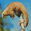 Silky Anteaters Diamond Painting