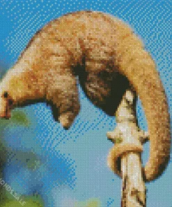 Silky Anteaters Diamond Painting