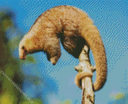 Silky Anteaters Diamond Painting