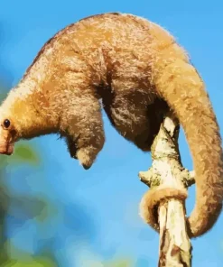 Silky Anteaters Diamond Painting