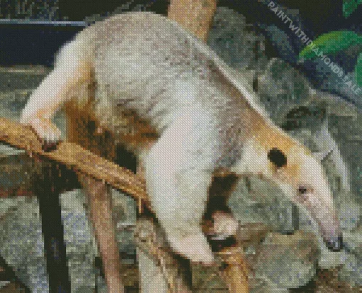 Southern Tamandua Diamond Painting