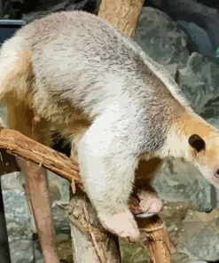 Southern Tamandua Diamond Painting