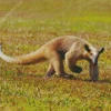 Southern Tamandua Animal Diamond Painting