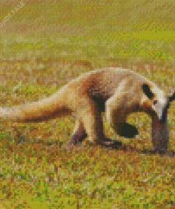 Southern Tamandua Animal Diamond Painting