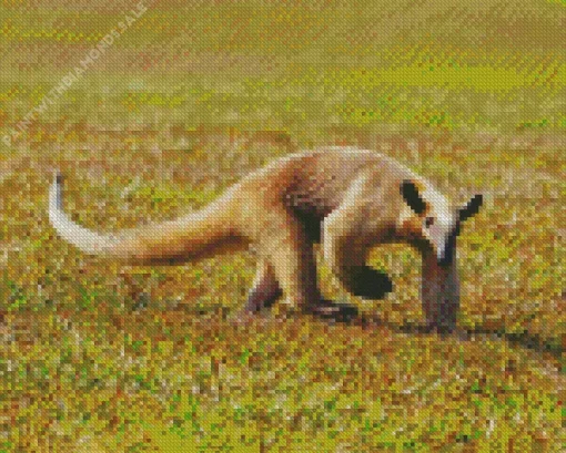 Southern Tamandua Animal Diamond Painting