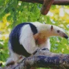 Southern Tamandua Anteater Diamond Painting