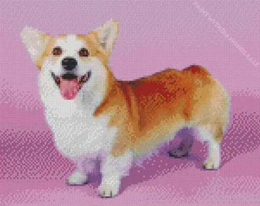 The Pembroke Welsh Corgi Diamond Painting