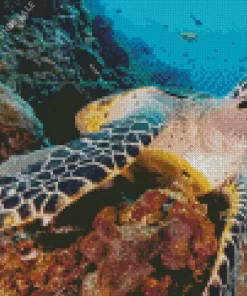 Underwater Sea Turtle Diamond Painting