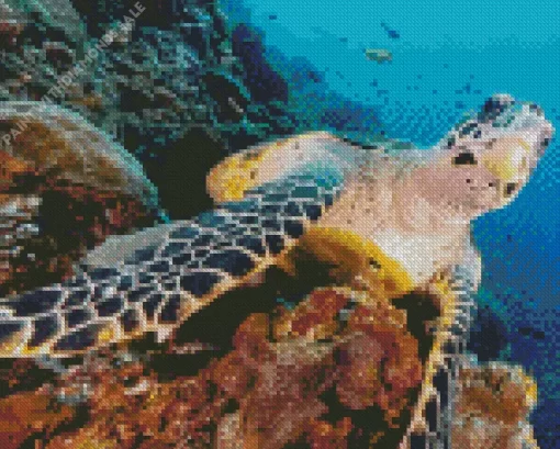 Underwater Sea Turtle Diamond Painting