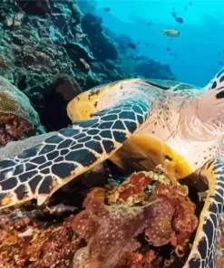 Underwater Sea Turtle Diamond Painting