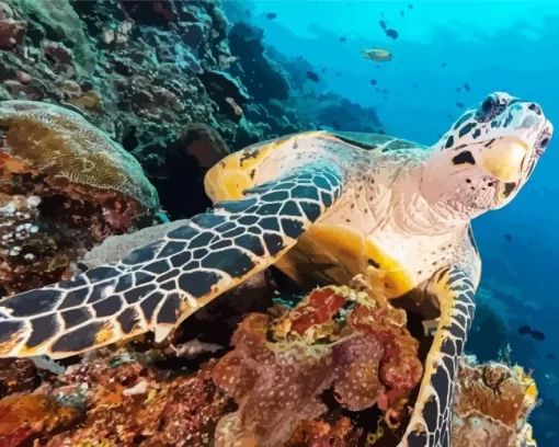 Underwater Sea Turtle Diamond Painting