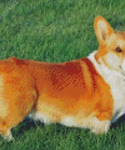 Welsh Corgi Pembroke Diamond Painting