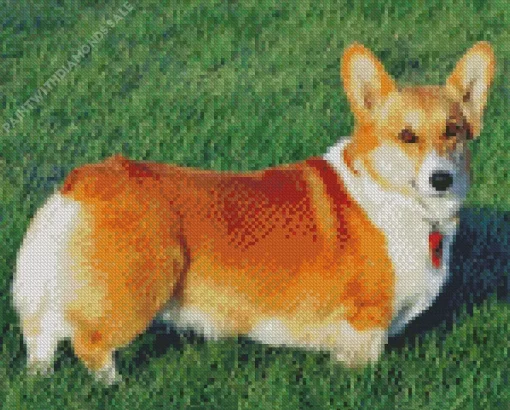 Welsh Corgi Pembroke Diamond Painting