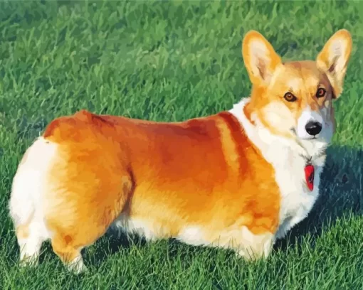 Welsh Corgi Pembroke Diamond Painting